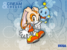 Это фанатский арт! Sonic Mega Collection Plus (Размер: 1024х768)