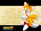 Sonic Adventure DX Director's Cut (Размер: 1024х768)